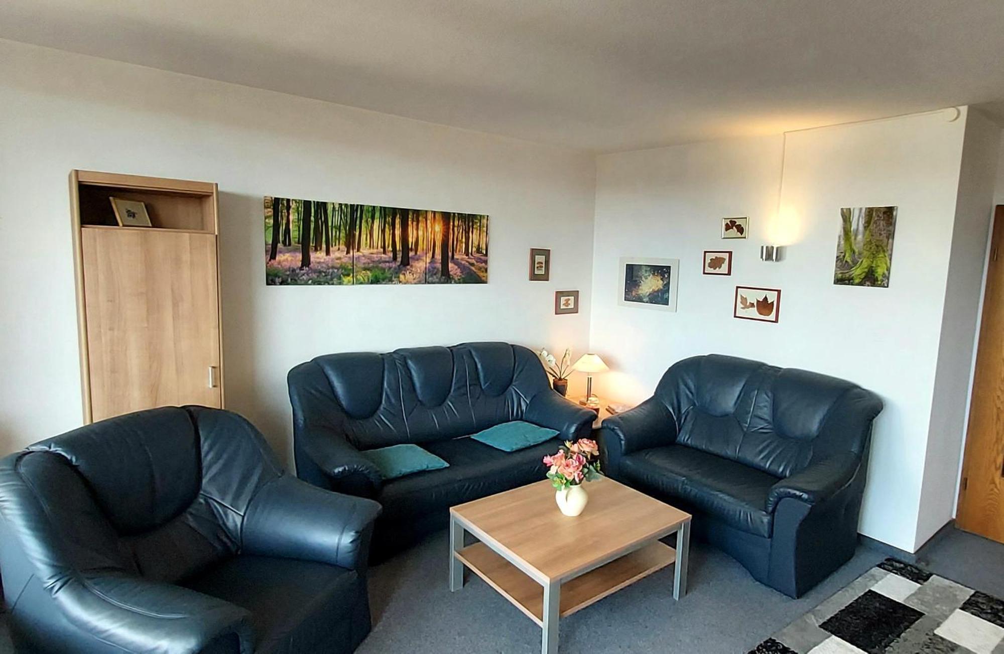 Panoramic Apartments Hohegeiss Room photo